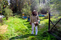 Pszczelarz w pasiece w stroju pszczelarza