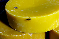 Naturalny wosk pszczeli klarowany